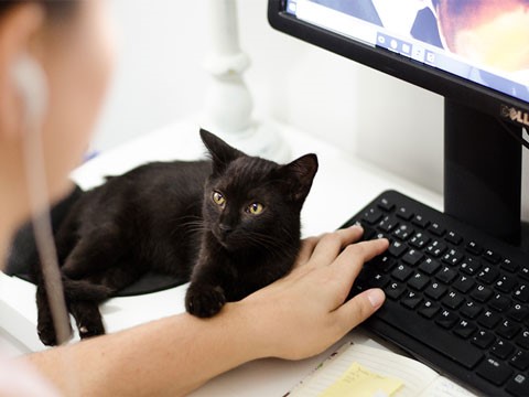 網站建設對于企業來說的作用很大! 網站建設對于企業來說的作用很大!